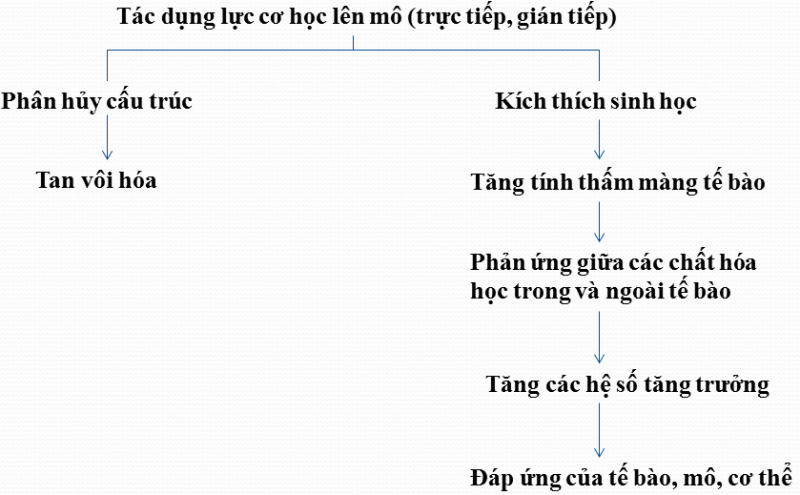 t&aacute;c dụng của s&oacute;ng xung k&iacute;ch
